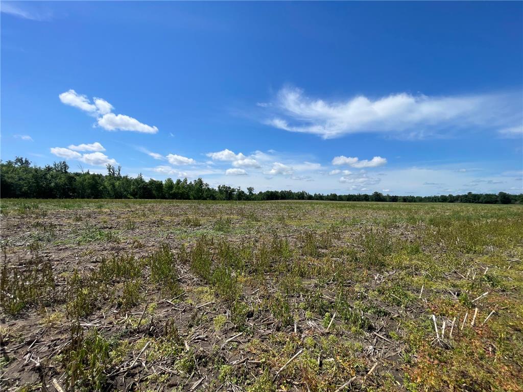 TBD2 Boot Lake Road SW Grant Valley Twp MN 56601 7106176 image46