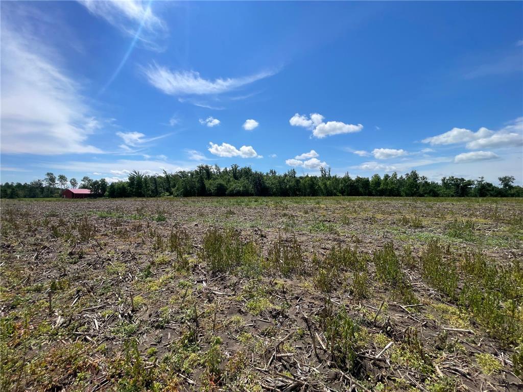 TBD2 Boot Lake Road SW Grant Valley Twp MN 56601 7106176 image47