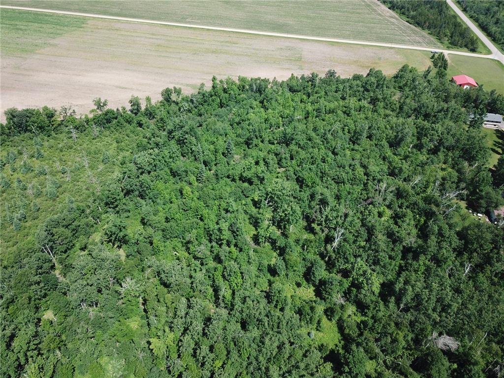 TBD2 Boot Lake Road SW Grant Valley Twp MN 56601 7106176 image8