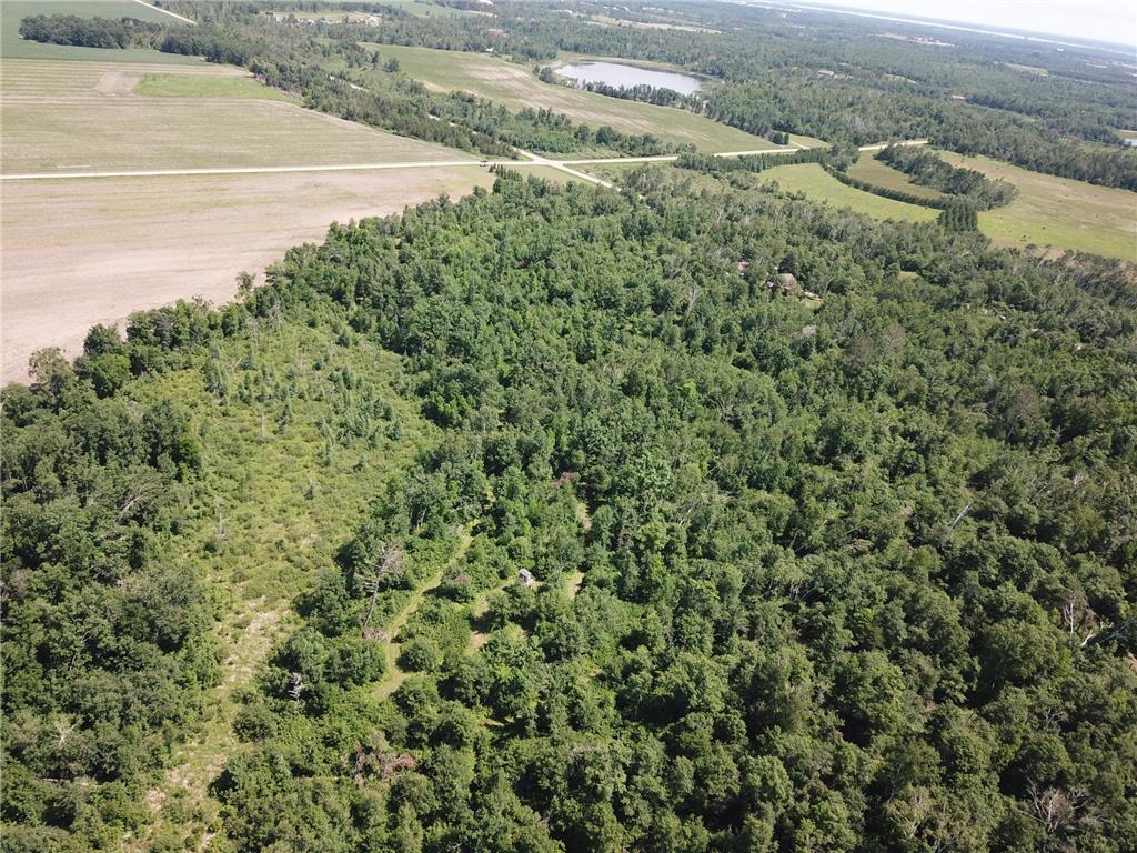 TBD2 Boot Lake Road SW Grant Valley Twp MN 56601 7106176 image9