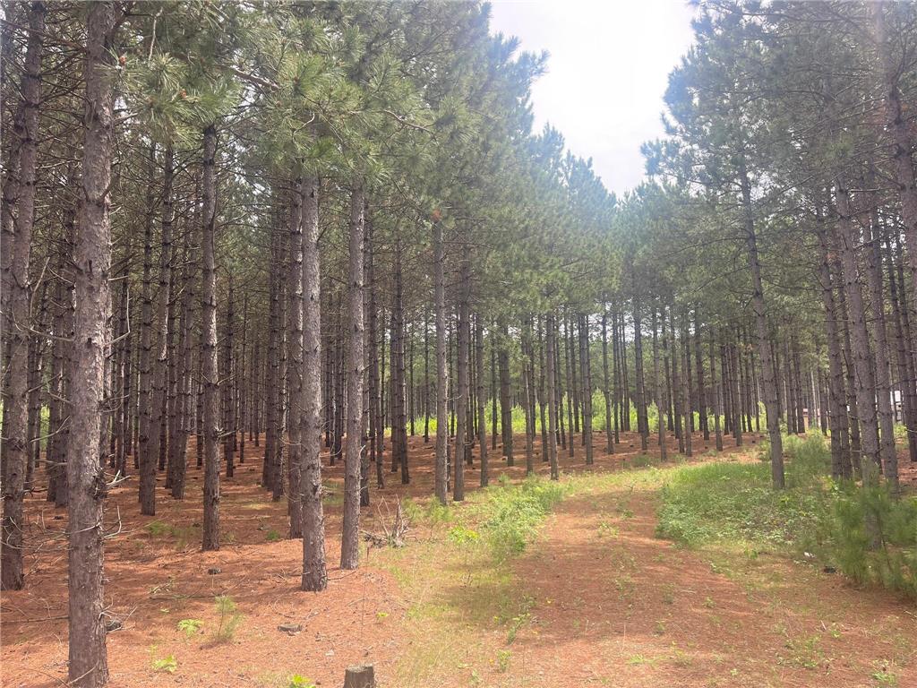 TBD2 County 2 Nevis MN 56467 7092005 image1