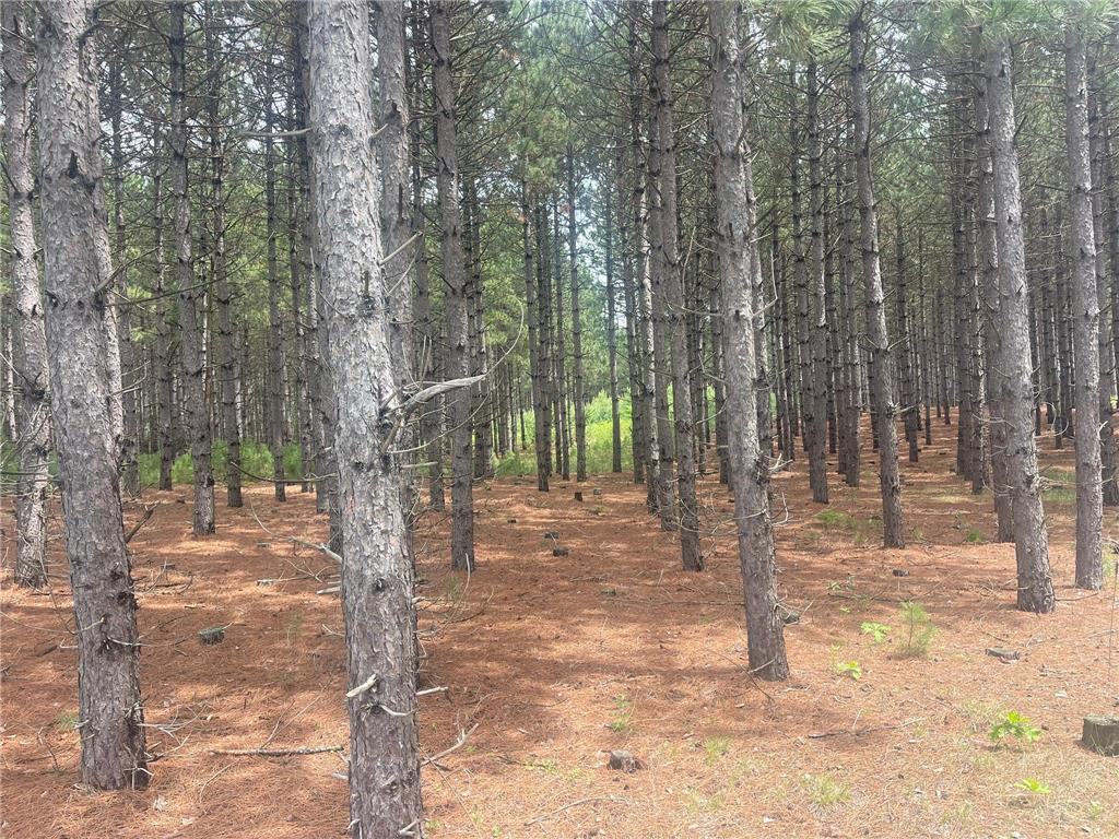 TBD2 County 2 Nevis MN 56467 7092005 image2