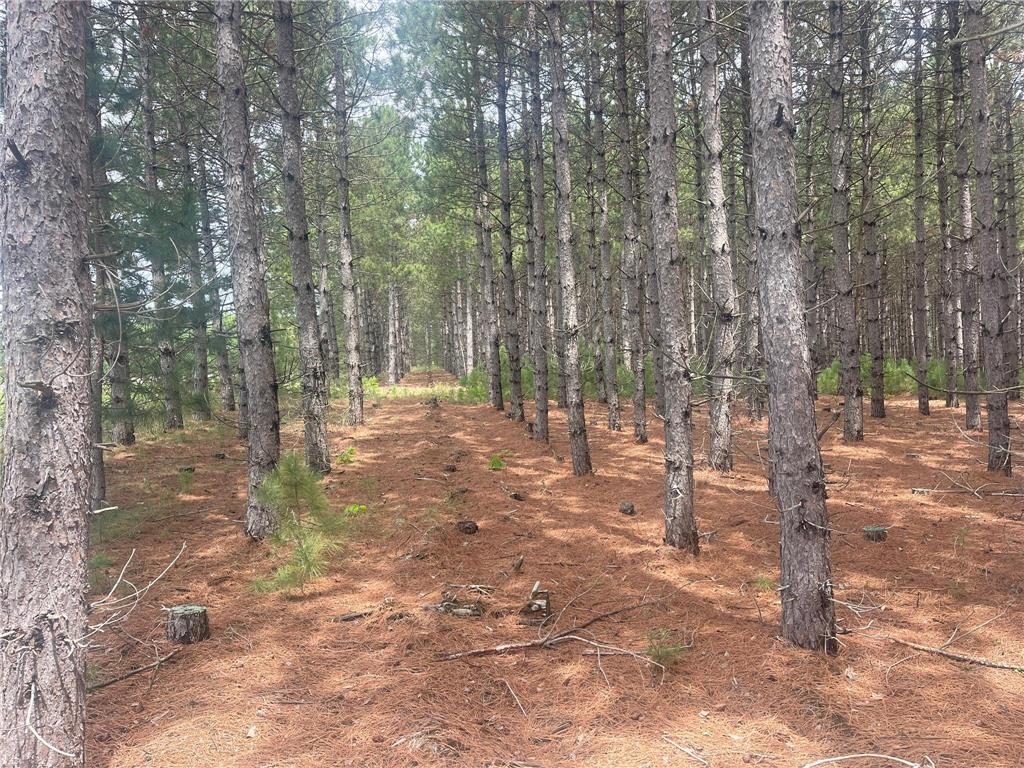 TBD2 County 2 Nevis MN 56467 7092005 image3