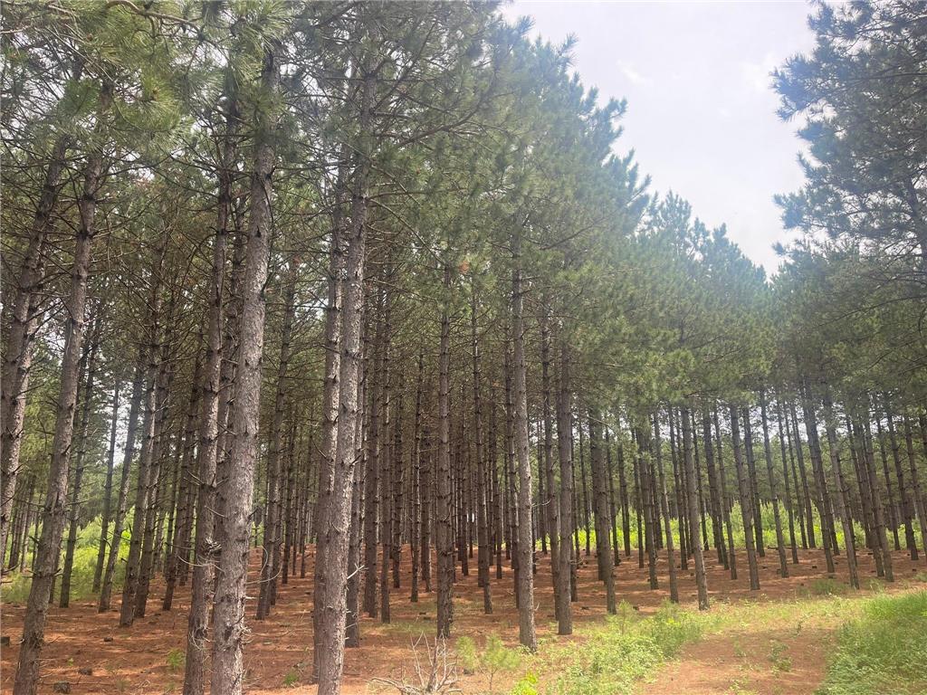 TBD2 County 2 Nevis MN 56467 7092005 image4