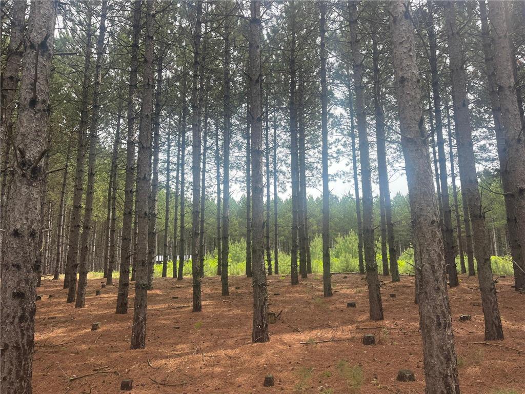 TBD2 County 2 Nevis MN 56467 7092005 image5