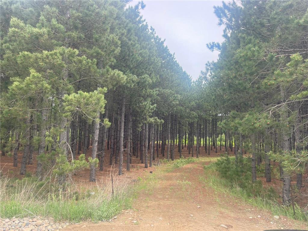 TBD2 County 2 Nevis MN 56467 7092005 image6