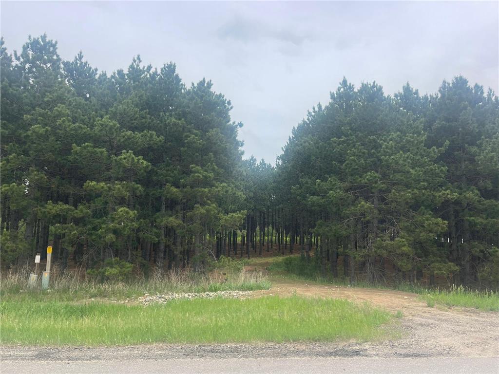 TBD2 County 2 Nevis MN 56467 7092005 image7