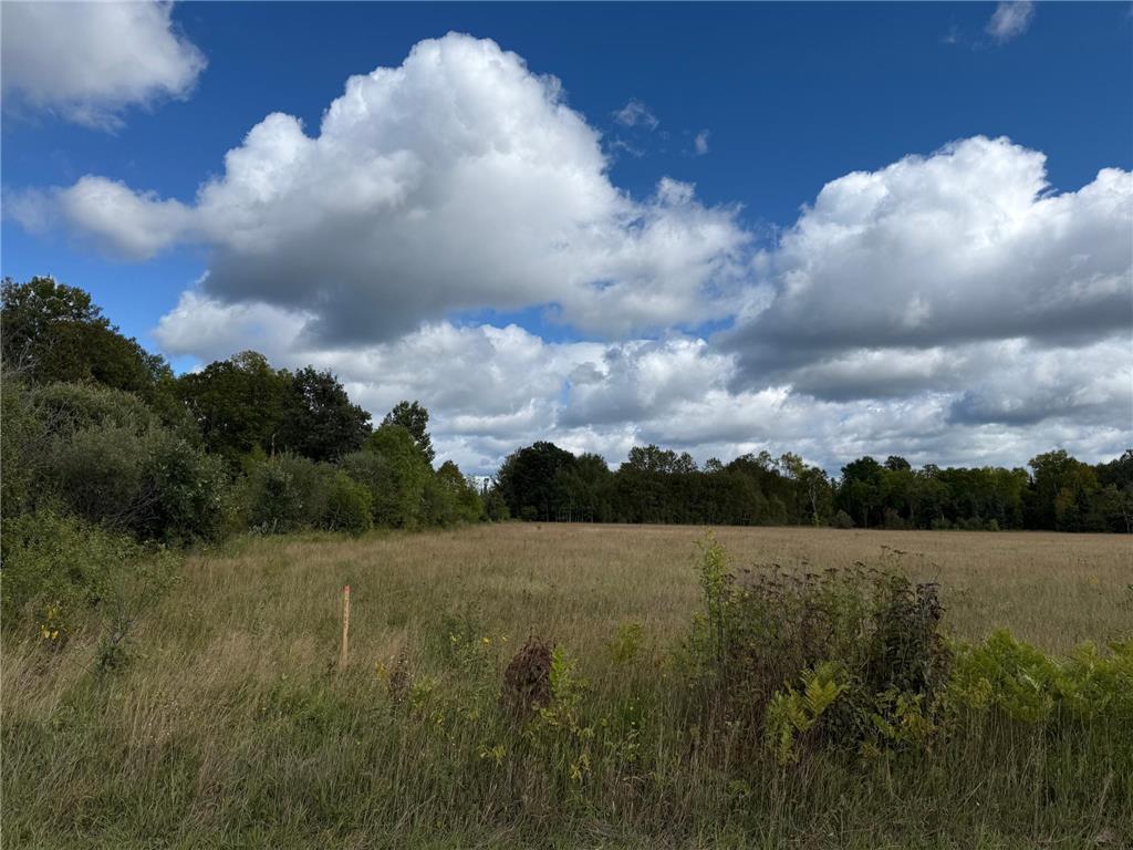 TBD2 County Road 31 Pomroy Twp MN 56688 6781367 image10