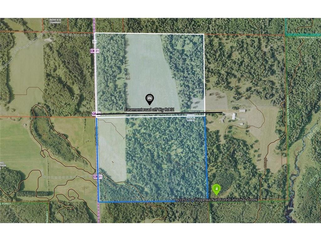 TBD2 County Road 31 Pomroy Twp MN 56688 6781367 image14