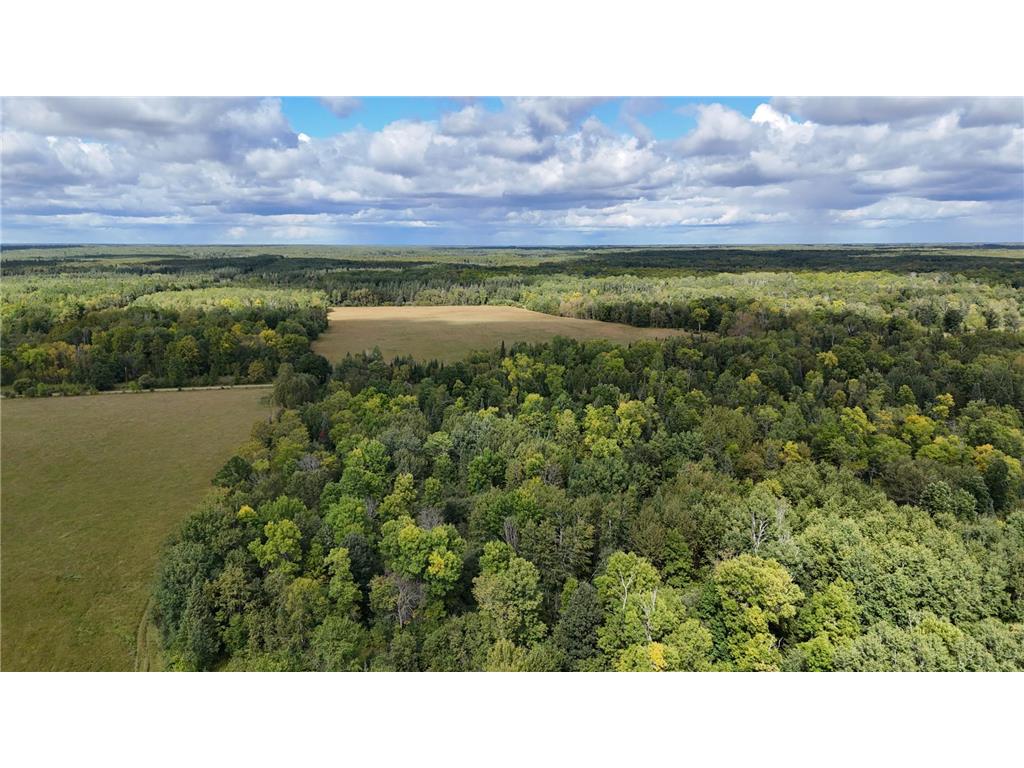 TBD2 County Road 31 Pomroy Twp MN 56688 6781367 image5