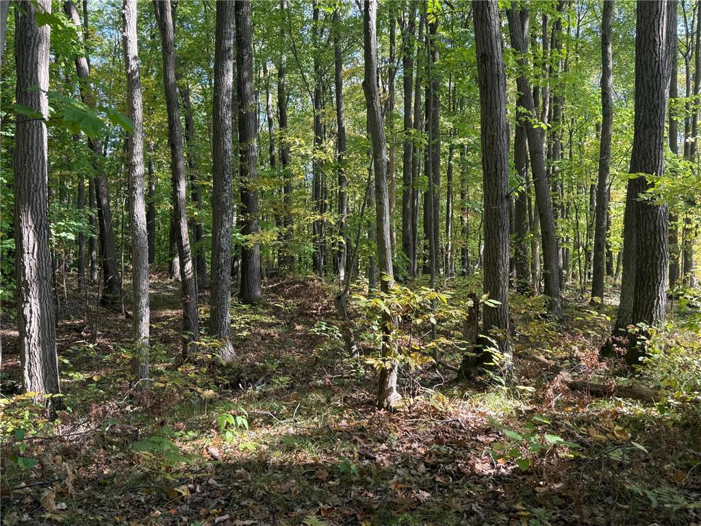 TBD2 Deep Lake Road Madge Twp WI 54870 6799331 image1