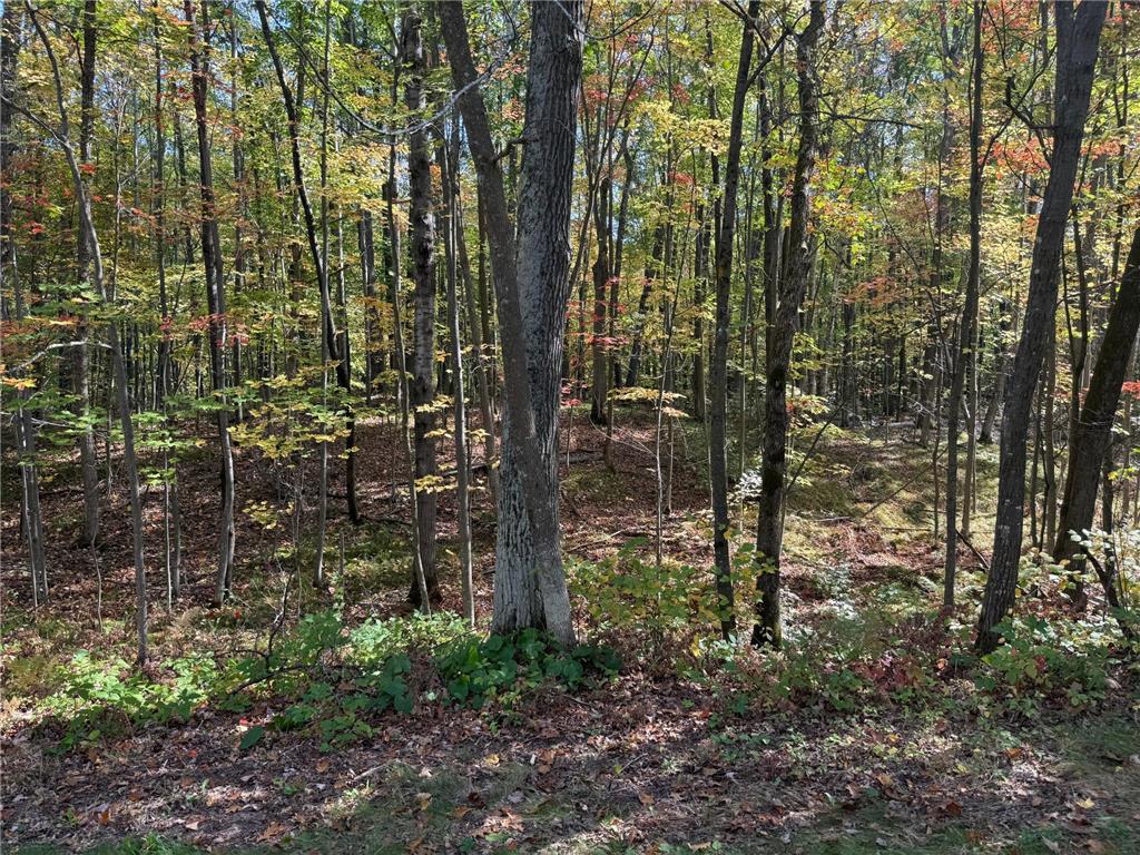 TBD2 Deep Lake Road Madge Twp WI 54870 6799331 image10