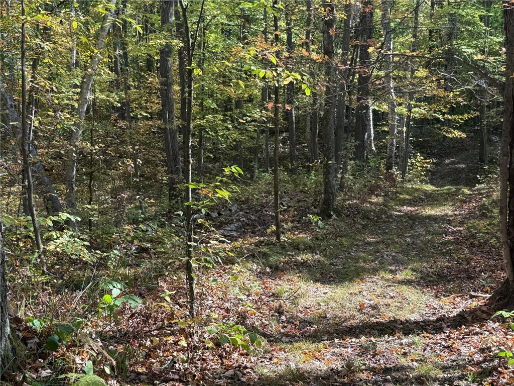 TBD2 Deep Lake Road Madge Twp WI 54870 6799331 image11
