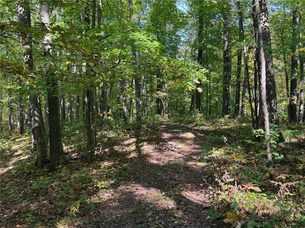TBD2 Deep Lake Road Madge Twp WI 54870 6799331 image12