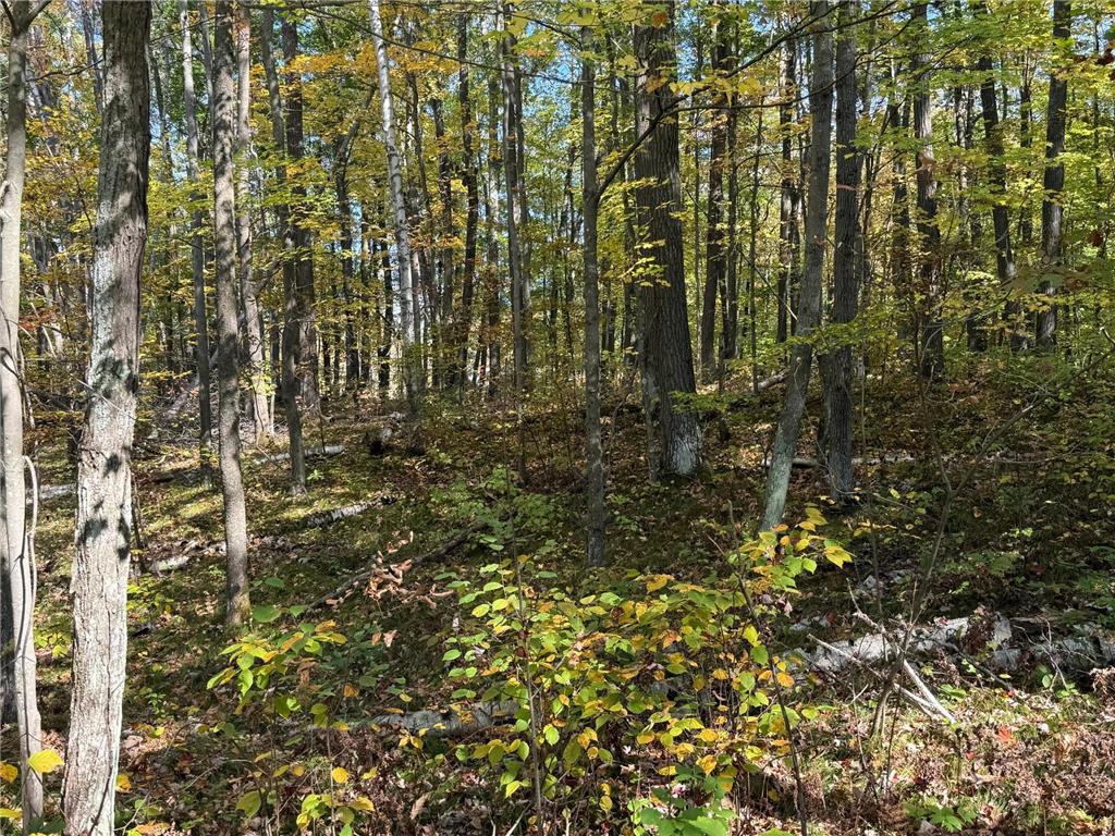 TBD2 Deep Lake Road Madge Twp WI 54870 6799331 image13