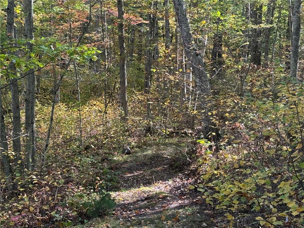 TBD2 Deep Lake Road Madge Twp WI 54870 6799331 image5