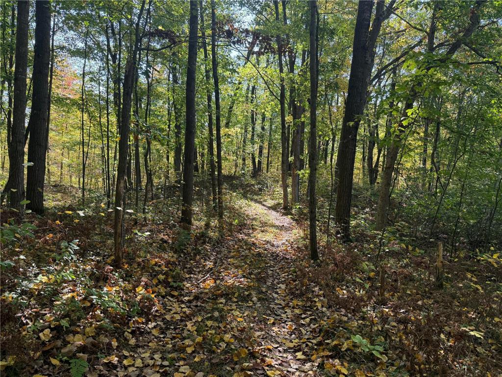 TBD2 Deep Lake Road Madge Twp WI 54870 6799331 image6