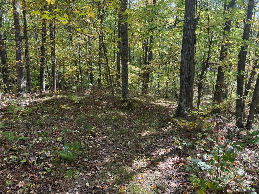 TBD2 Deep Lake Road Madge Twp WI 54870 6799331 image9