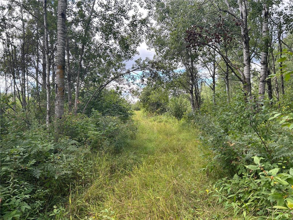 TBD2 Duncan Road Wilma Twp MN 55072 7076471 image1