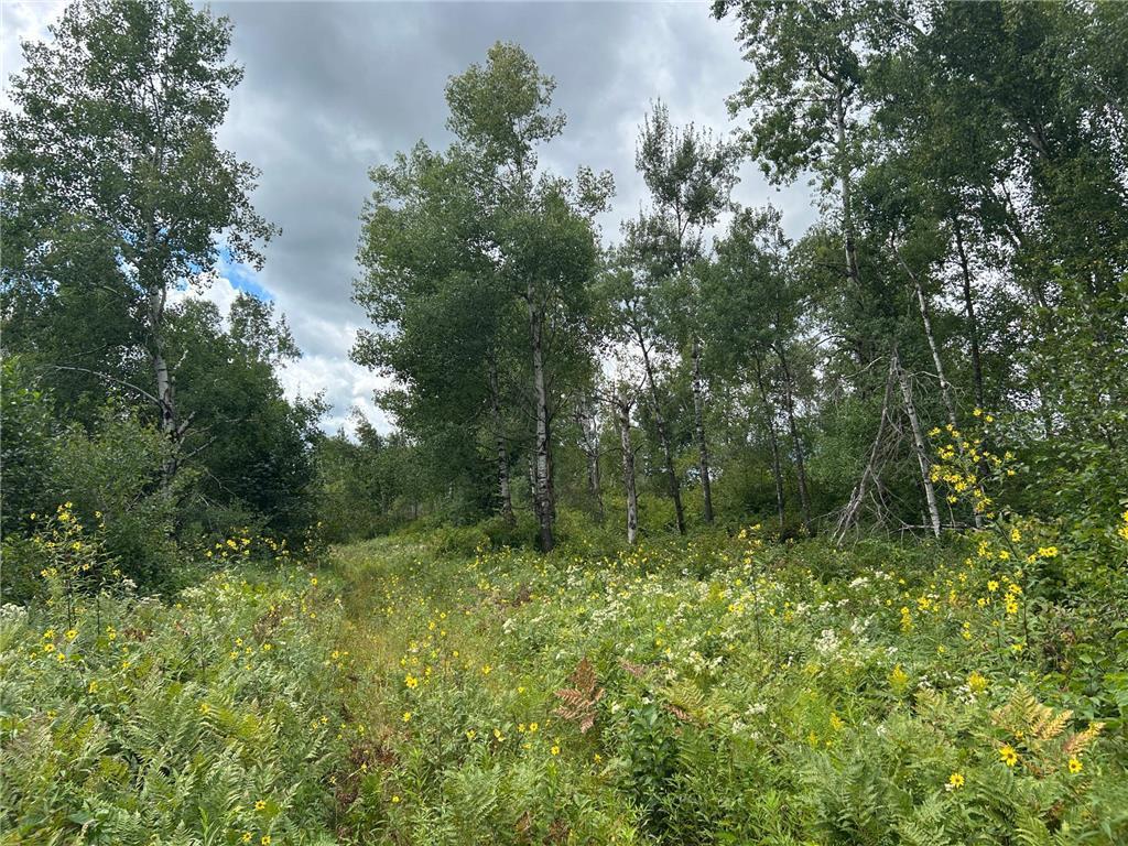 TBD2 Duncan Road Wilma Twp MN 55072 7076471 image11