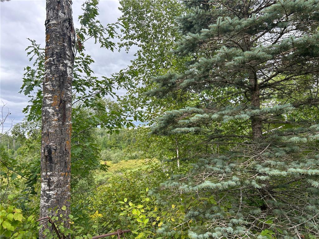 TBD2 Duncan Road Wilma Twp MN 55072 7076471 image12