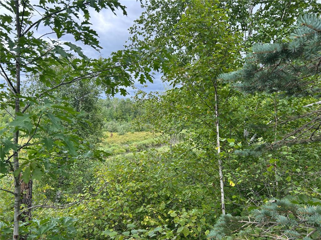 TBD2 Duncan Road Wilma Twp MN 55072 7076471 image13