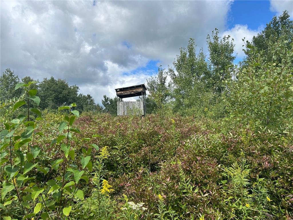 TBD2 Duncan Road Wilma Twp MN 55072 7076471 image3