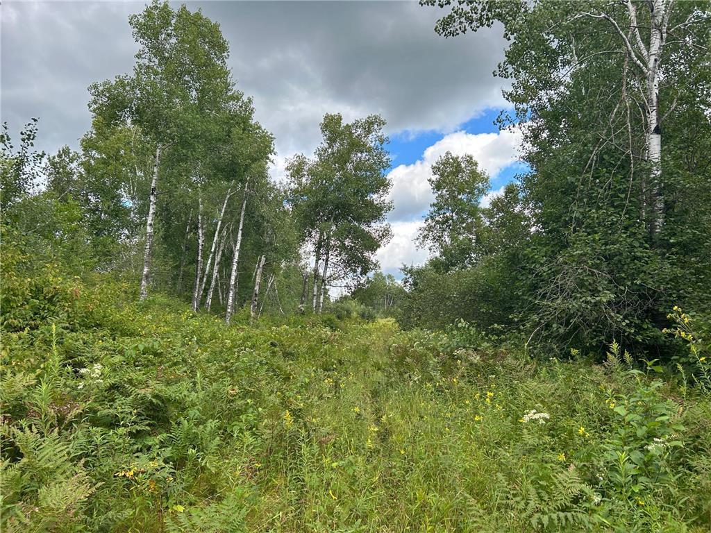TBD2 Duncan Road Wilma Twp MN 55072 7076471 image4
