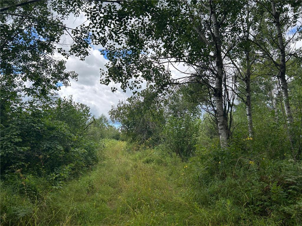 TBD2 Duncan Road Wilma Twp MN 55072 7076471 image5