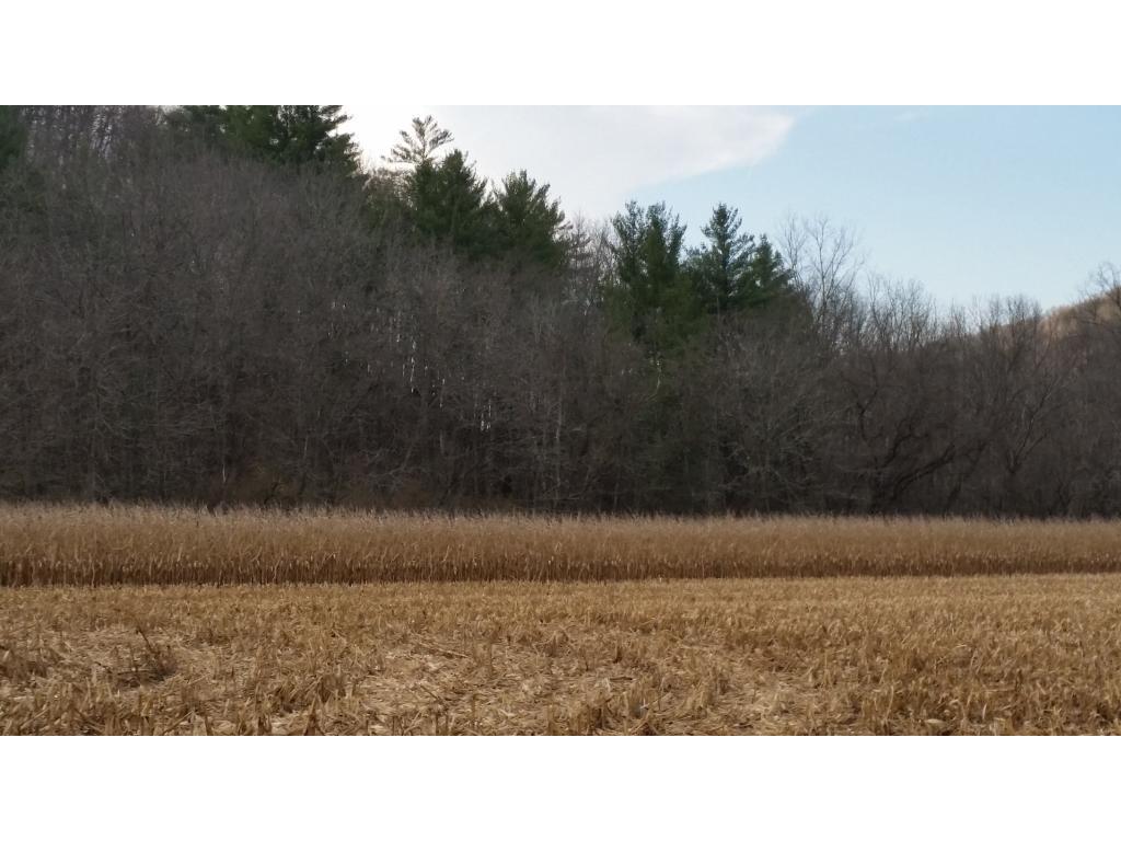 TBD2 Fairwater Road, Elba, MN, 55910 MLS 5324954 Edina Realty