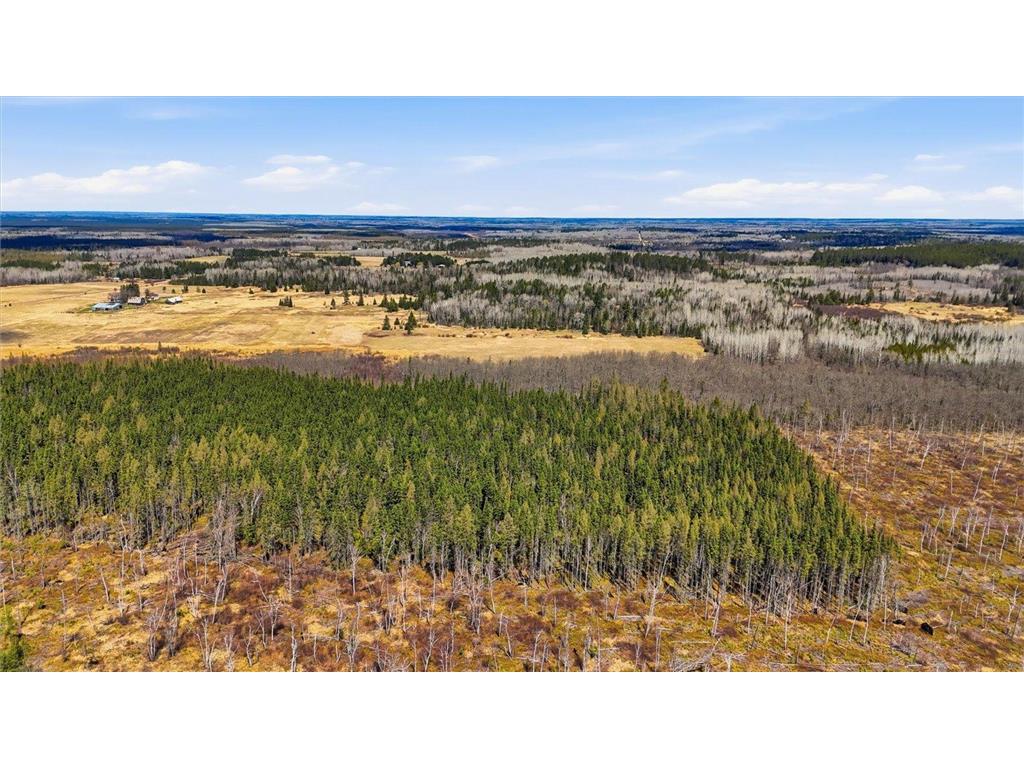 TBD2 Hwy 25 Angora MN 55703 7072876 image2