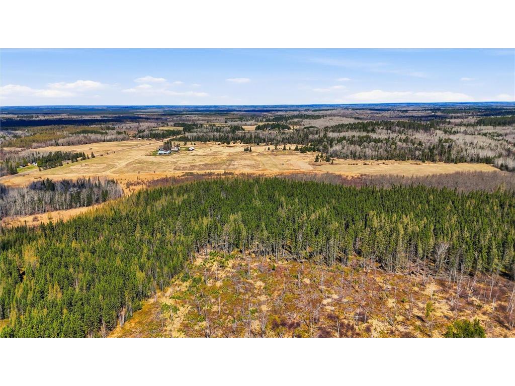 TBD2 Hwy 25 Angora MN 55703 7072876 image6
