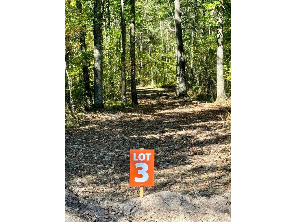 TBD3 Winter Creek Court Fairview Twp MN 56468 7012434 image3