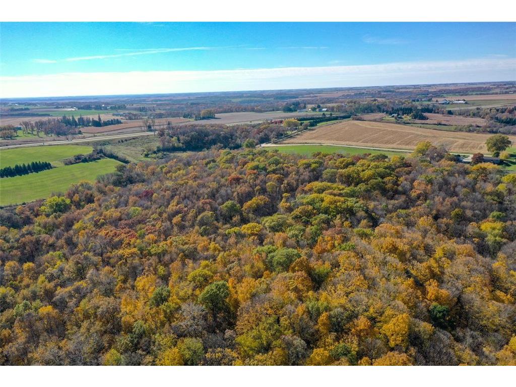 TBD30 Cherokee Road Wilson Twp MN 55972 6813240 image12