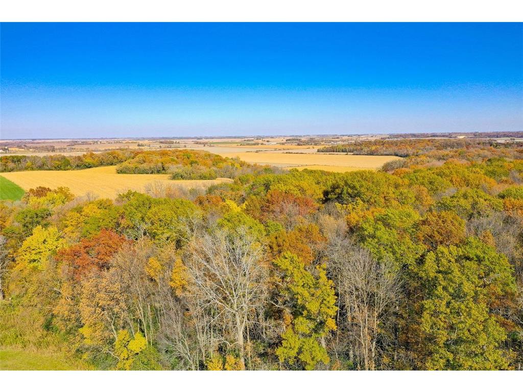 TBD30 Cherokee Road Wilson Twp MN 55972 6813240 image14