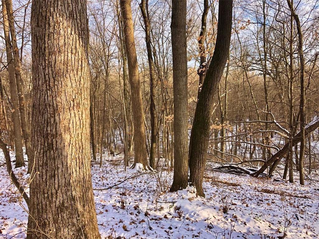 TBD30 Cherokee Road Wilson Twp MN 55972 6813240 image21