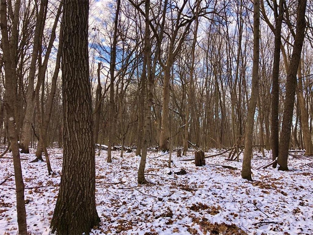 TBD30 Cherokee Road Wilson Twp MN 55972 6813240 image22