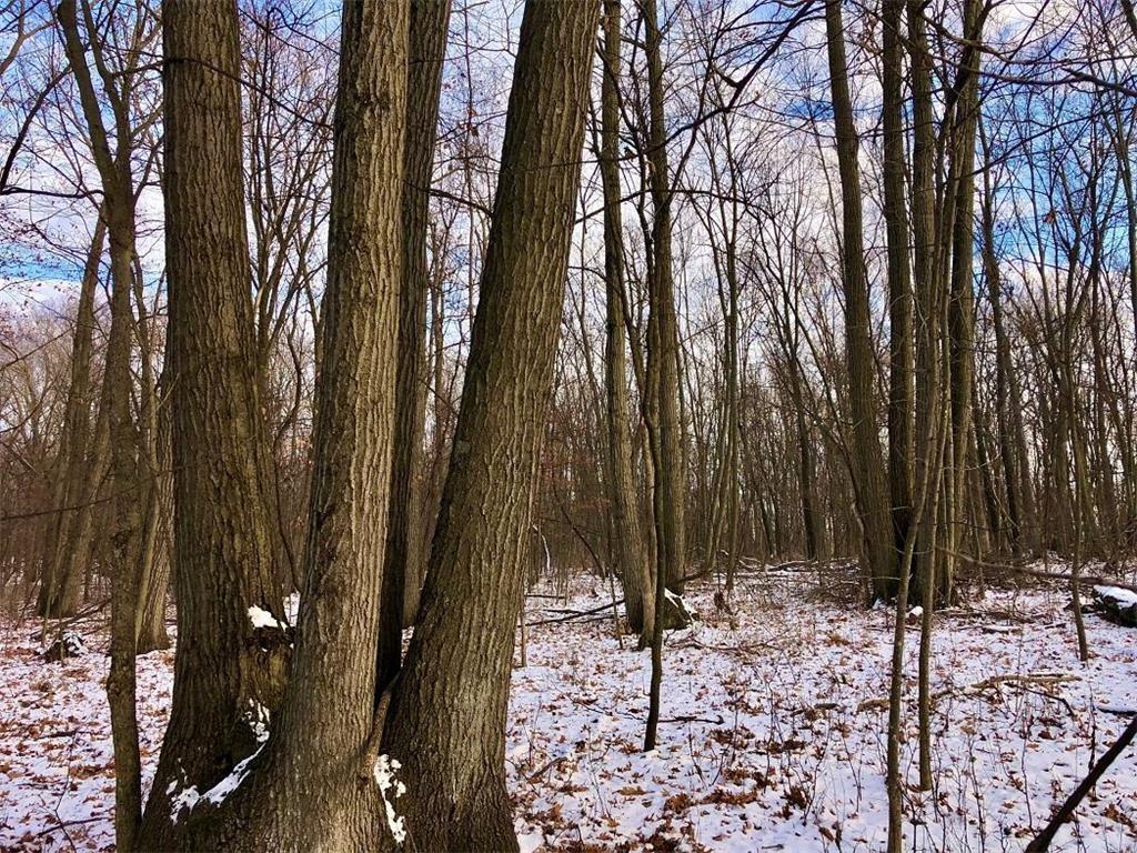 TBD30 Cherokee Road Wilson Twp MN 55972 6813240 image24