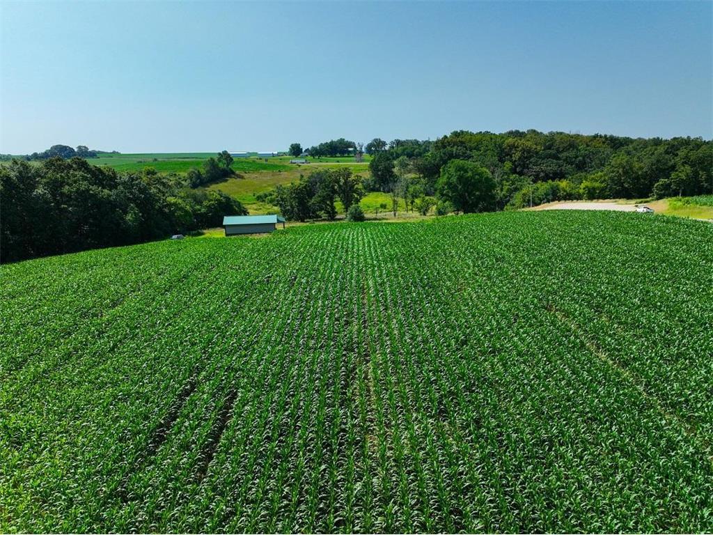 TBD30 Cherokee Road Wilson Twp MN 55972 6813240 image3