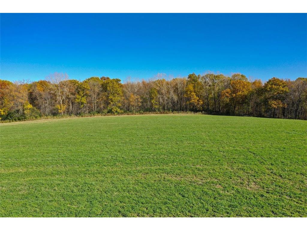 TBD30 Cherokee Road Wilson Twp MN 55972 6813240 image8
