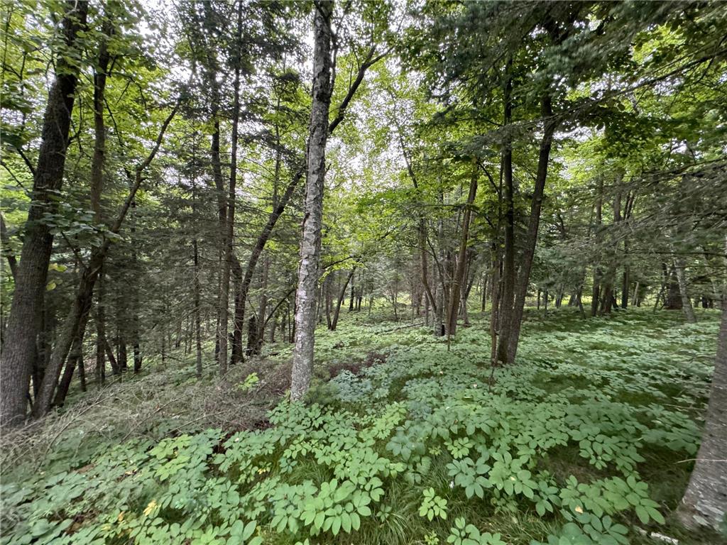 TBD4 Chokecherry Drive Nevis MN 56467 6579190 image1