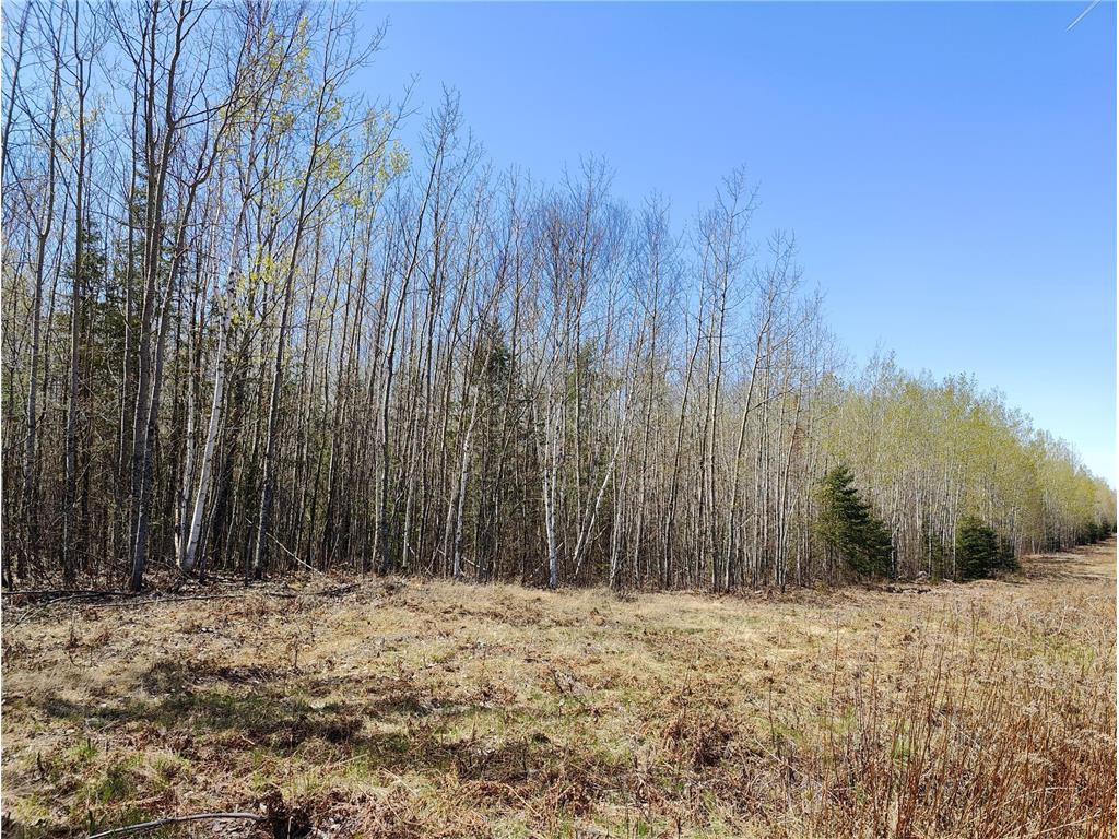 TBD4 Hwy. 115 Greenwood Twp MN 55790 6720099 image1