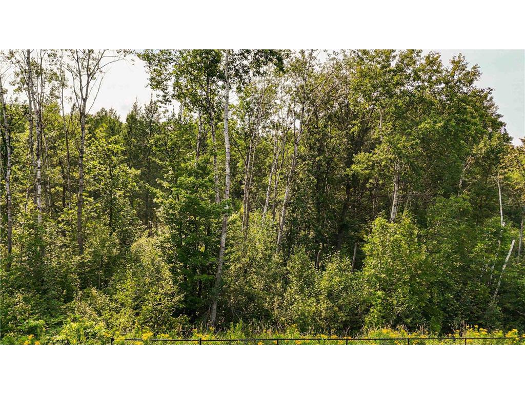 TBD4 Winter Creek Court Fairview Twp MN 56468 7012436 image19
