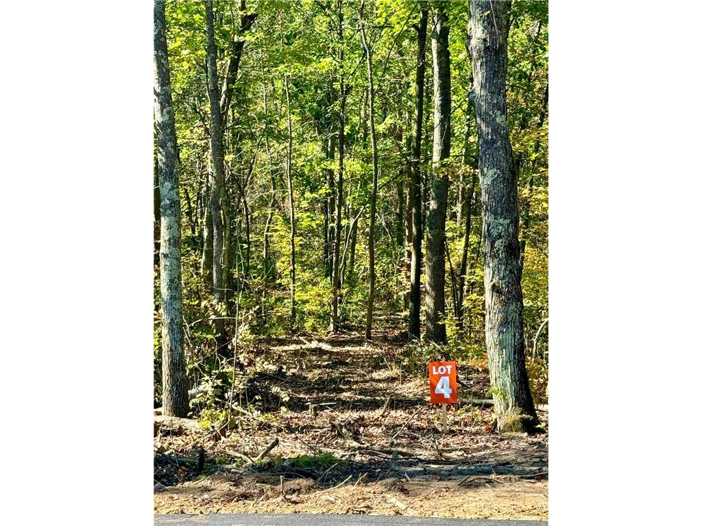 TBD4 Winter Creek Court Fairview Twp MN 56468 7012436 image3