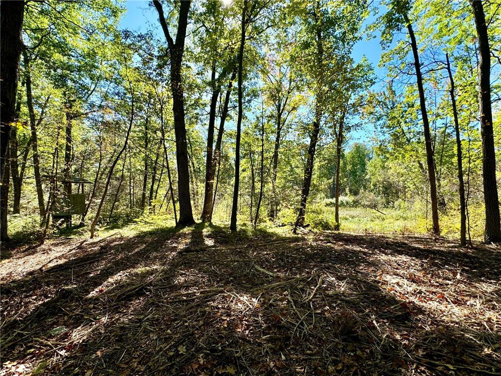 TBD4 Winter Creek Court Fairview Twp MN 56468 7012436 image35