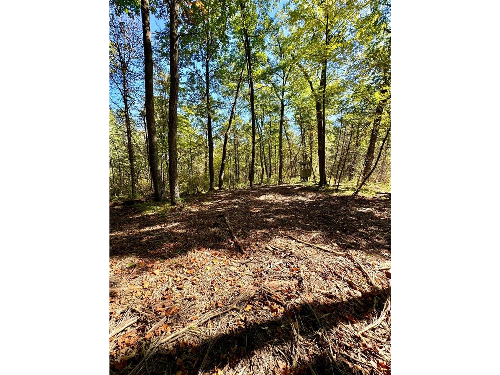 TBD4 Winter Creek Court Fairview Twp MN 56468 7012436 image36