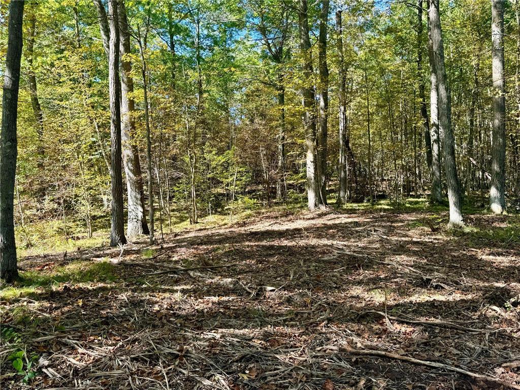 TBD4 Winter Creek Court Fairview Twp MN 56468 7012436 image4