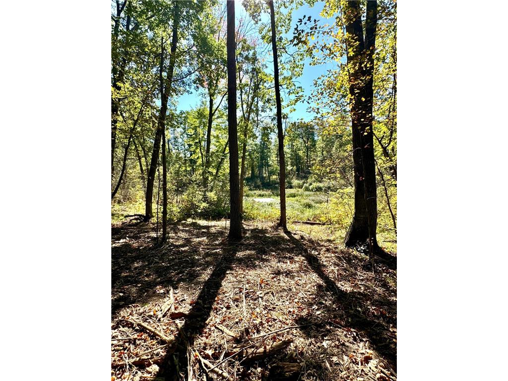 TBD4 Winter Creek Court Fairview Twp MN 56468 7012436 image5