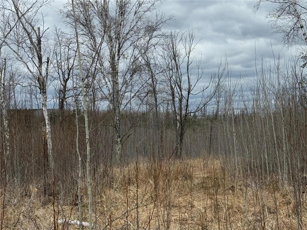 TBD40 Township Road 5743 Road New Independence Twp MN 55702 - Artichoke River 7067070 image14