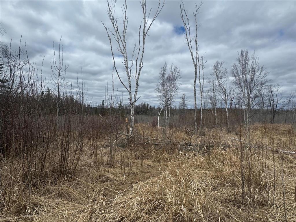 TBD40 Township Road 5743 Road New Independence Twp MN 55702 - Artichoke River 7067070 image15